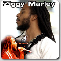 ziggy marley