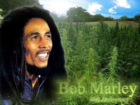 le roi d reggae